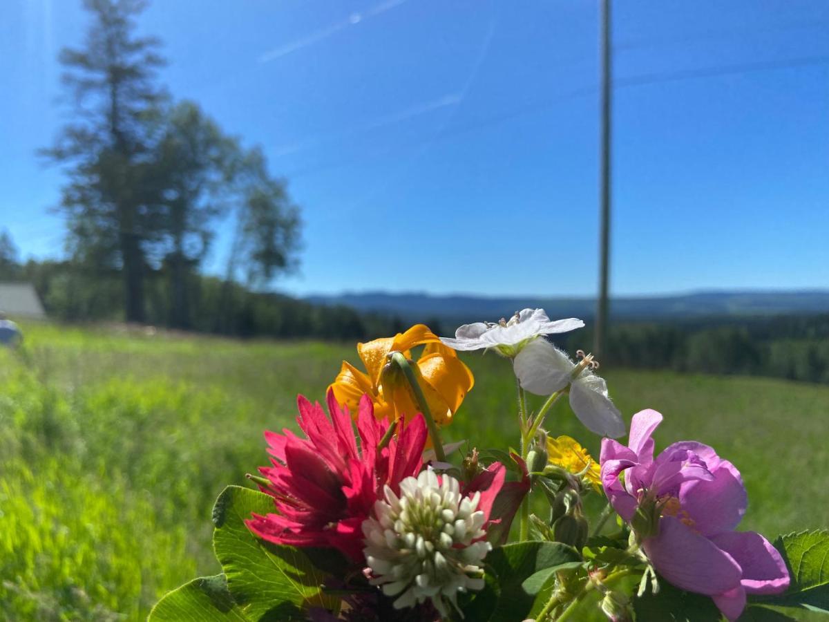 Montana Hill Guest Ranch Villa Bridge Lake Exterior foto